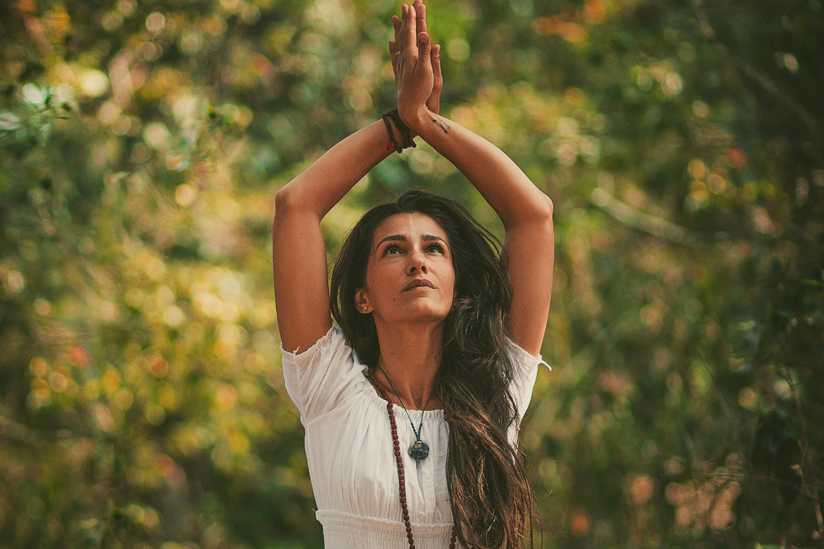 Zen Gaia